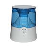 Warm Mist Humidifier & Personal Steam Inhaler- EE-5202