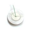MPM Adhesive Foam Dressing Open