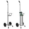 Sunset D/E Cylinder Cart