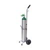 Responsive Respiratory E Cylinder - 15 LPM Regulator And Cart Kit