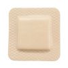 McKesson Hydrocellular Thin Silicone Foam Dressing With Border