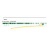 McKesson Two-Way Silicone Coated Standard Tip Foley Catheter - 5cc Balloon Capacity