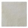 Coloplast Biatain Alginate Ag Dressing on Sale