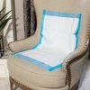BodyMed Disposable Underpads