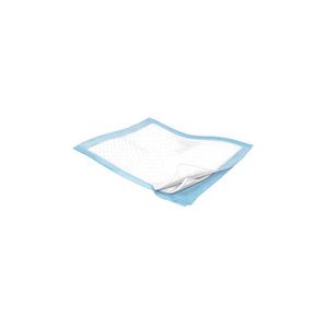 Kendall Wings Underpad