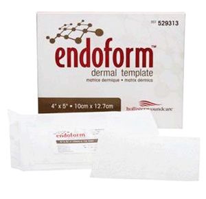 Hollister Endoform Dermal Template Collagen Dressing