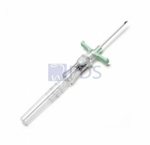 Bd Introsyte Conventional Extended Dwell Catheters